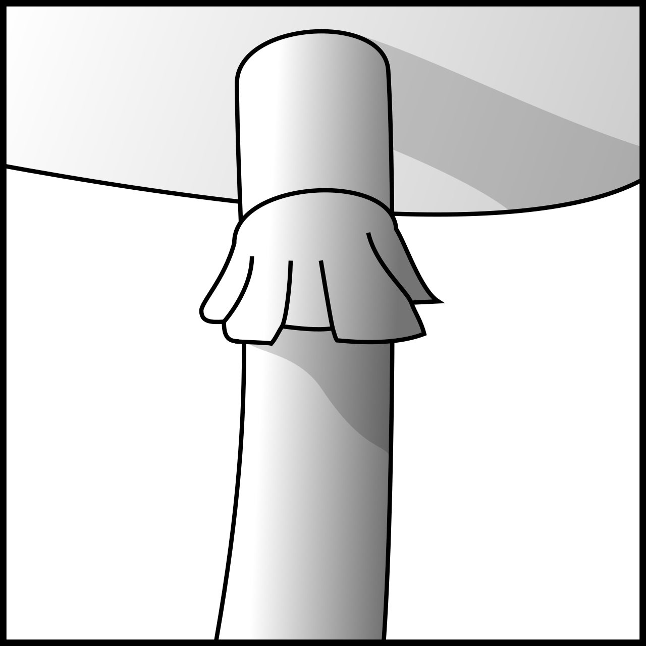 Ring stipe icon.svg