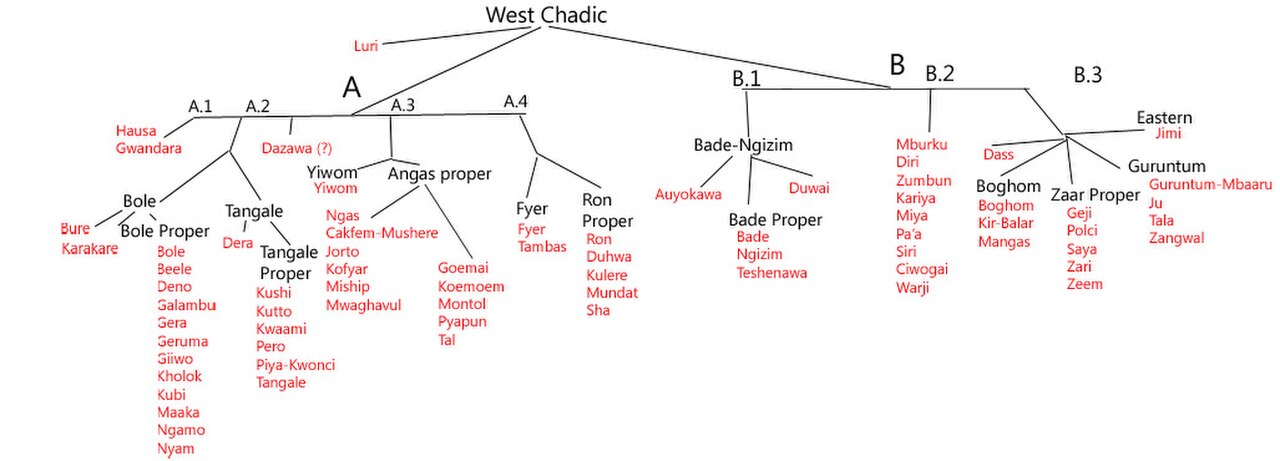 West Chadic Languages.jpg