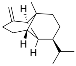 β-copaene