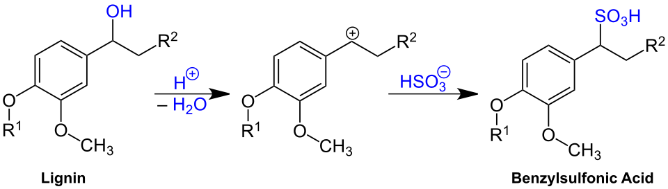 Generalized structure of lignosulfonates