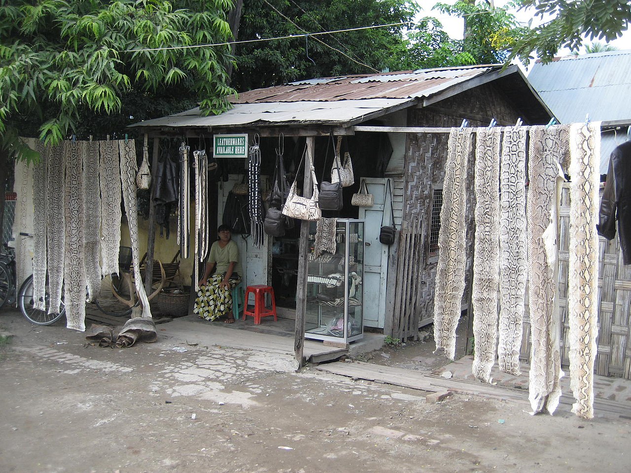Python Skins Burma.jpg