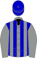 Grey, blue stripes on body, blue cap
