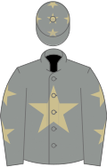 Grey, beige star, grey sleeves, beige stars and stars on cap