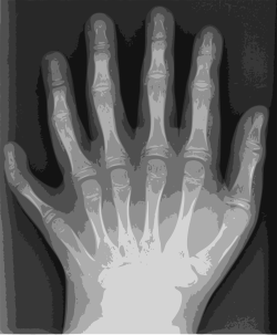 Traced with Potrace in Inkscape to an eight-color SVG image in 2012 (336 KB)
