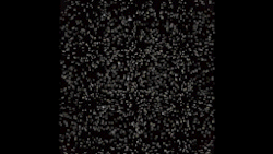 Simulation of stellar motions in Messier 4