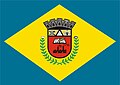 Flag of Pitangui