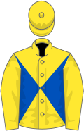 Yellow and royal blue diabolo, yellow sleeves and cap