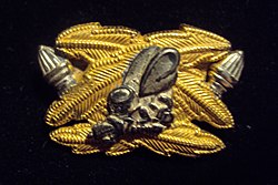 CEC Insignia