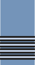 An RAF group captain's sleeve/shoulder insignia