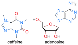 Two skeletal formulas: left – caffeine, right – adenosine.