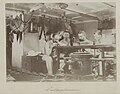 Siboga expedition group portrait in laboratory