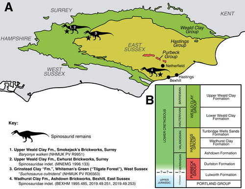Map of spinosaurid sites in southeastern England