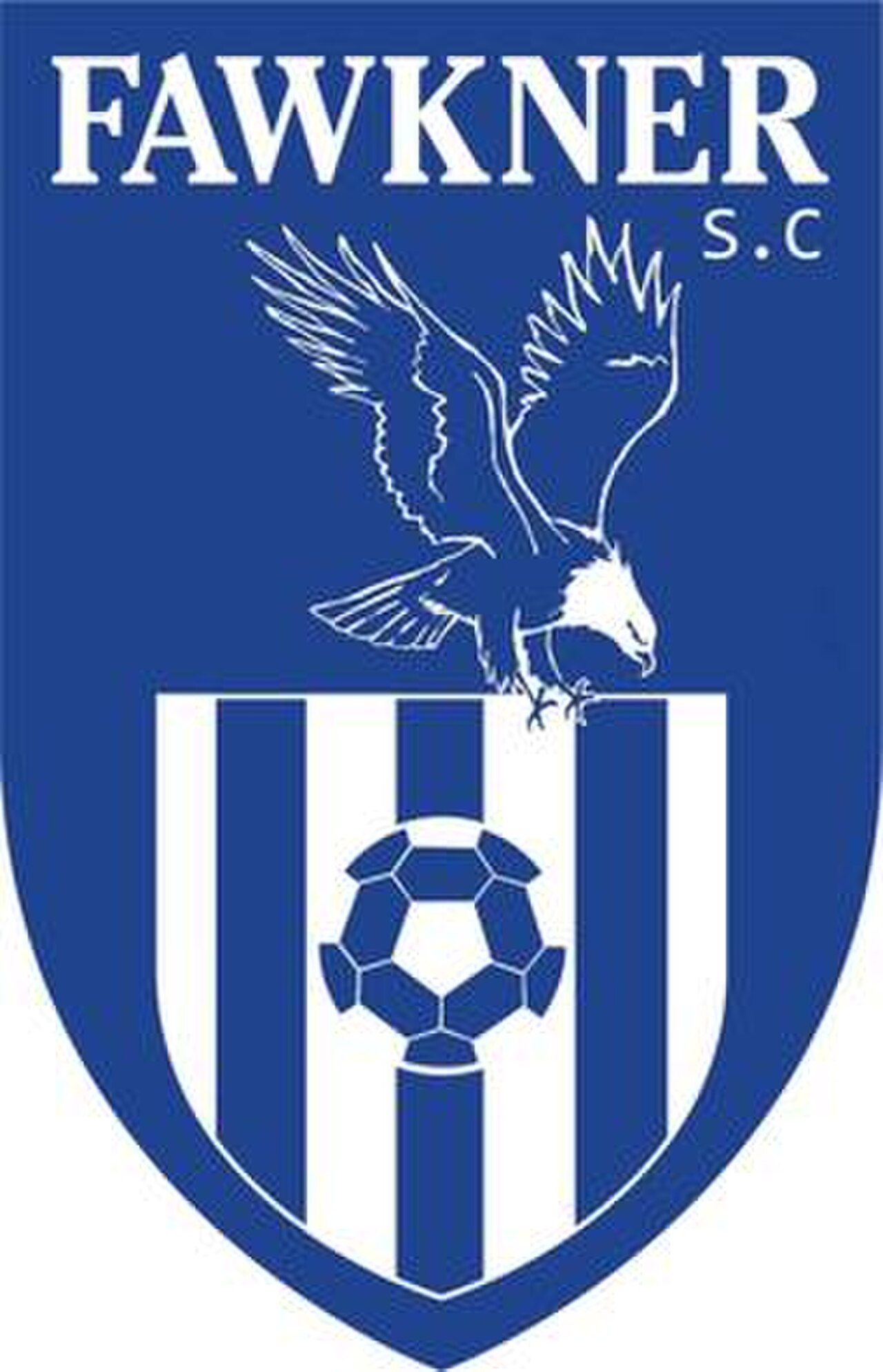 Fawkner SC Logo.jpg