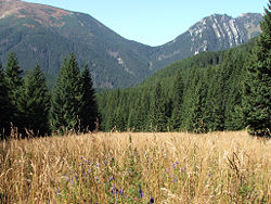 Iwaniacka Pass in Tatras (near Kominiarski Wierch, Poland).