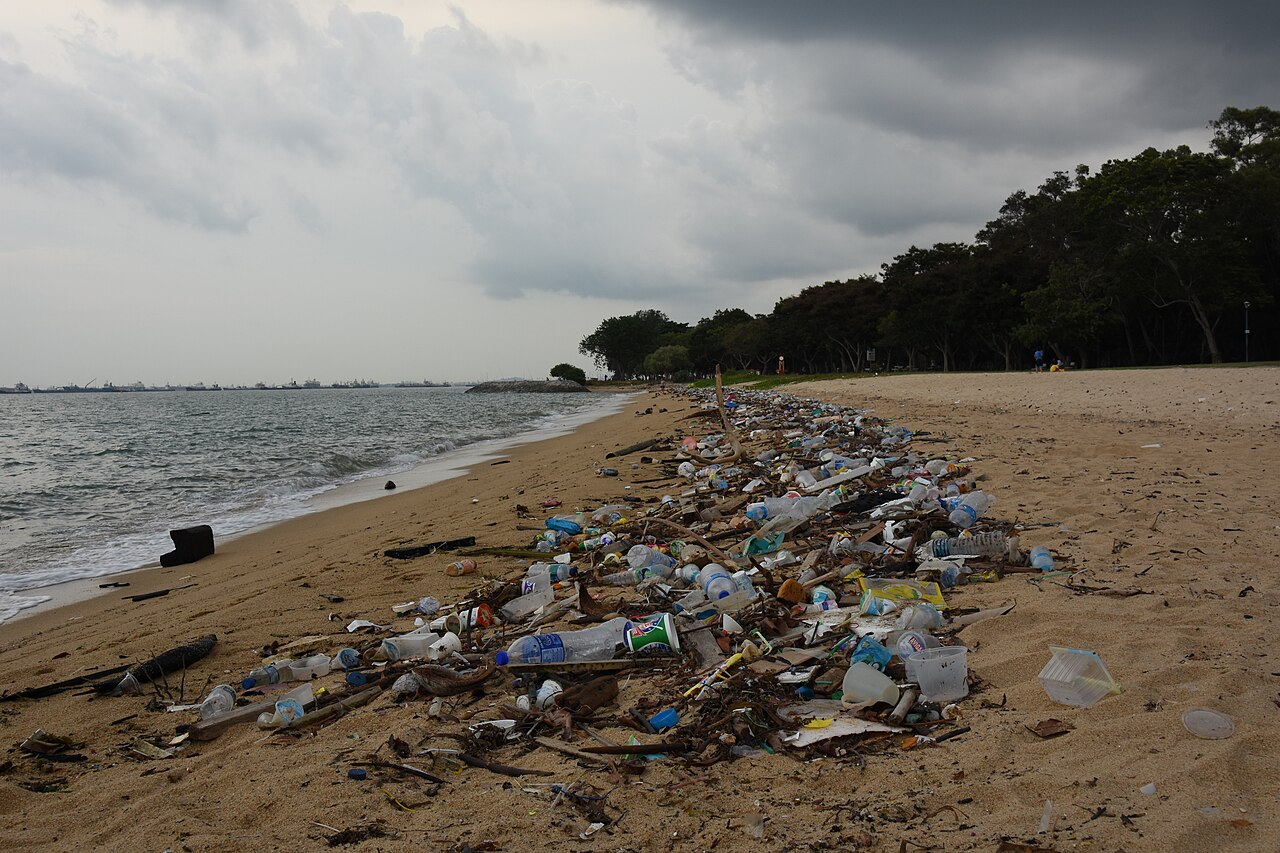 Litter on Singapore's East Coast Park.jpg