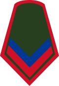 Cabo primero (Colombian National Army)[11]