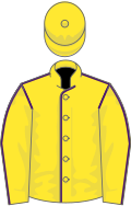 Yellow, purple seams, yellow cap