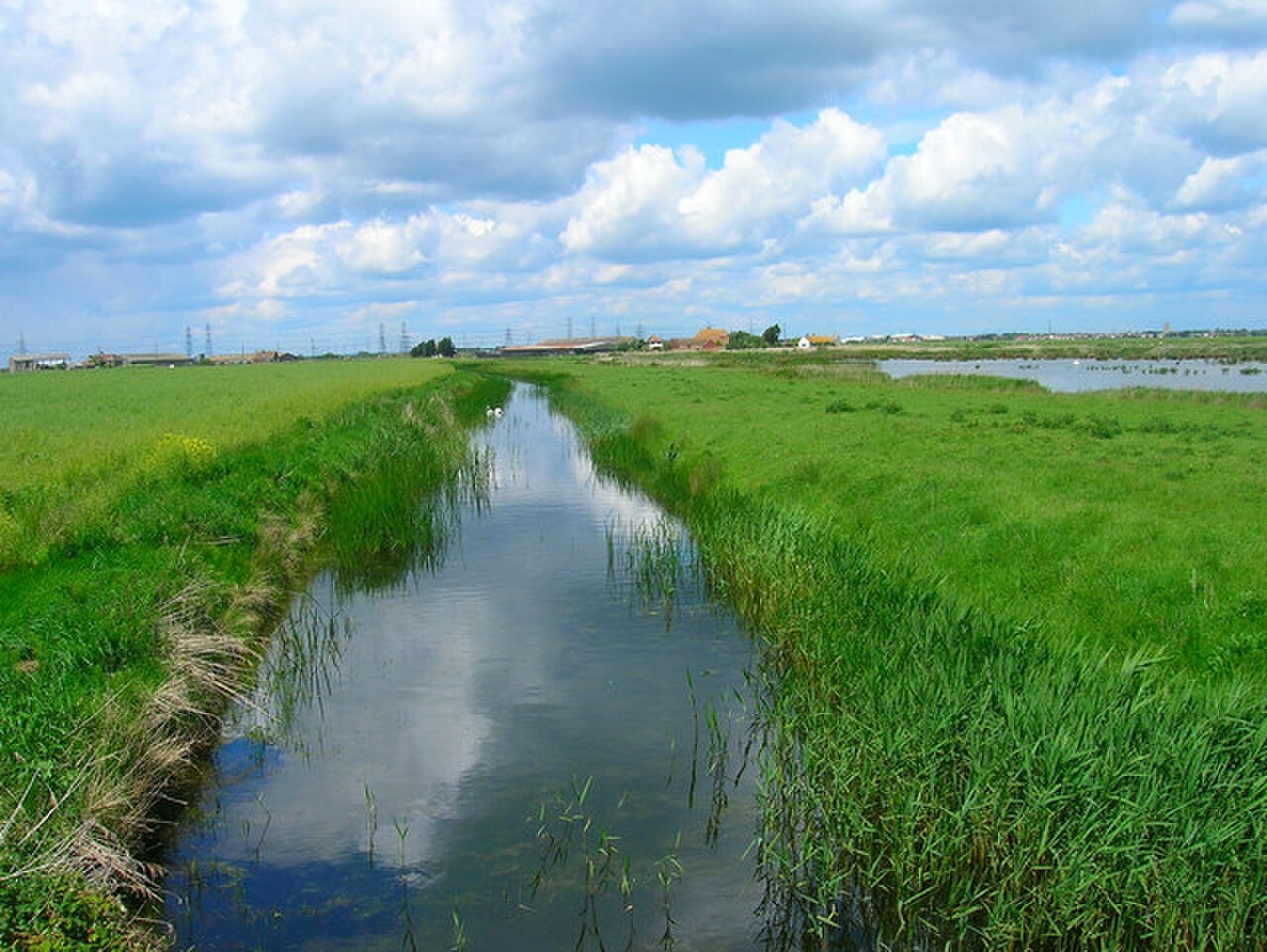 Dengemarsh Sewer - geograph.org.uk - 448984.jpg