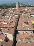 Via Fillungo view from the Clock Tower