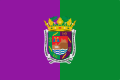 Flag of Málaga