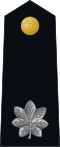 U.S. Marine Corps rank insignia of a lieutenant colonel's blue dress uniform.