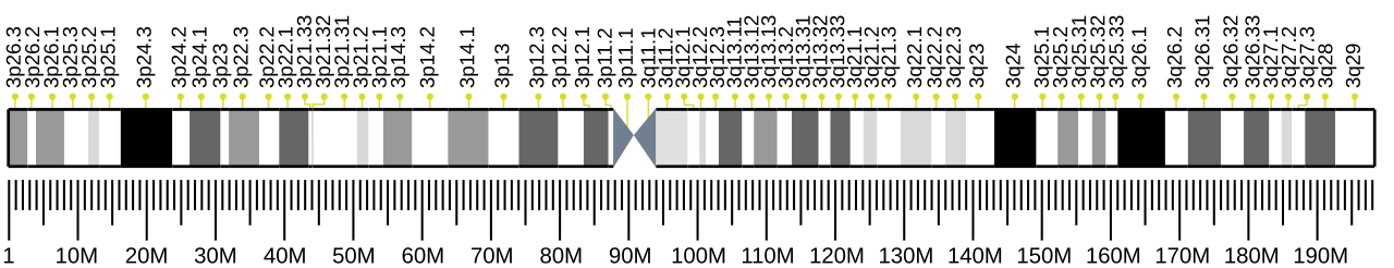 Human chromosome 3 ideogram.svg