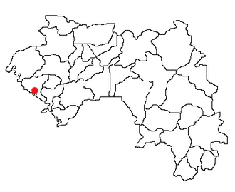 Location of Boffa Prefecture and seat in Guinea.