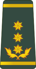 გენერალ ლეიტენანტი General leit’enant’i[21] (Georgian Land Forces)