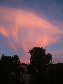 A picture of a contorted cirrus cloud shining red in the sunset. Fall streaks (like long, thin streamers) descend from the clouds.