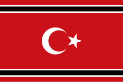 The Moon Star flag