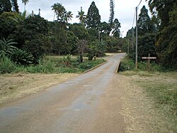 The bridge of Gélima, in Canala