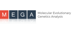White sans-serif capital letters spelling MEGA, each in a separate square, colored one red and three black, respectively.