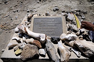 The spot where the first Australopithecus boisei was discovered in Tanzania.