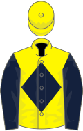 Lemon, dark blue diamond and sleeves