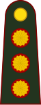 General de división (Argentine Army)[5]