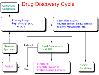 Drug discovery cycle schematic