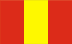 Flag of Vidzy