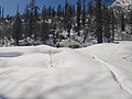Solang valley Power House