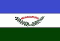 Flag of Manacapuru
