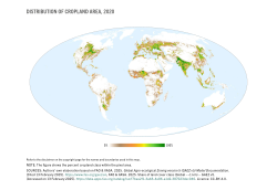 Distribution of cropland area, 2020.
