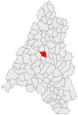 Location in Bihor County
