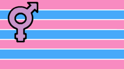 The transgender pride flag designed in 1999 by Johnathan Andrew