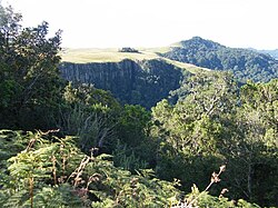 A wide landscape view of a dense, misty evergreen forest covering rolling hills. The trees are lush and green, with low-hanging clouds partially obscuring the distant peaks under an overcast sky.