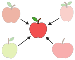 Diagram of a prototypical apple surrounded by non-prototypical apples