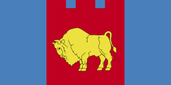Flag of Brest region
