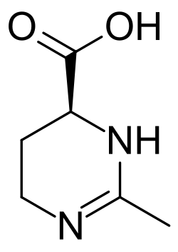 2D representation of the chemical structure of ectoine.