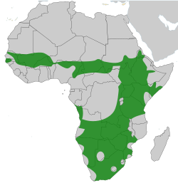 Map of range