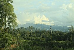 Panorama Merabu, Kelay
