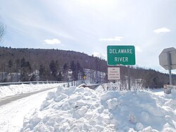 The Lordville–Equinunk Bridge