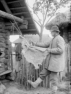 Sheepskin processing, Juuza village, Setomaa, 1920-1930s.